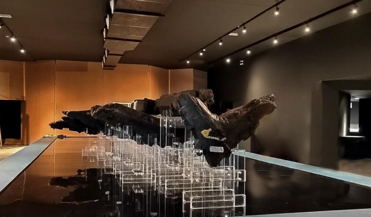 Mostra nave greca, durante le festività previste visite guidate gratuite - I resti della nave greca