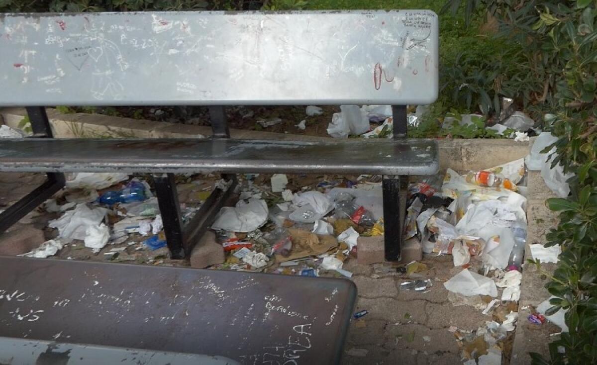 Villette via Morselli nel degrado, rifiuti e verde abbandonato: situazione estrema - Le aree verdi delle villette colme di rifiuti