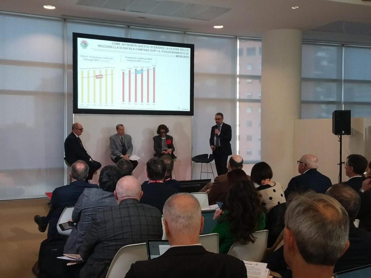 Mozzarella di Bufala Campana Dop, crescono produzione ed export - 