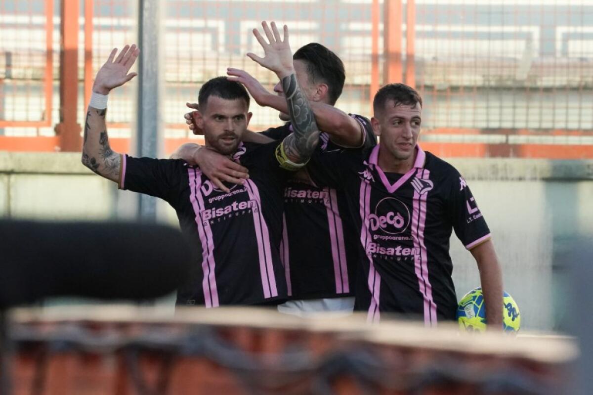 Problema durante il volo ferma il Palermo, ad Ascoli si gioca domenica - 