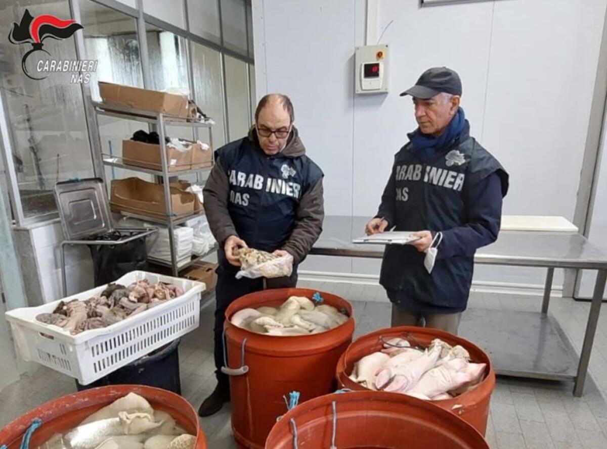 Sequestrata una tonnellata di carne a Palermo, sanzioni da 11.500 euro - 