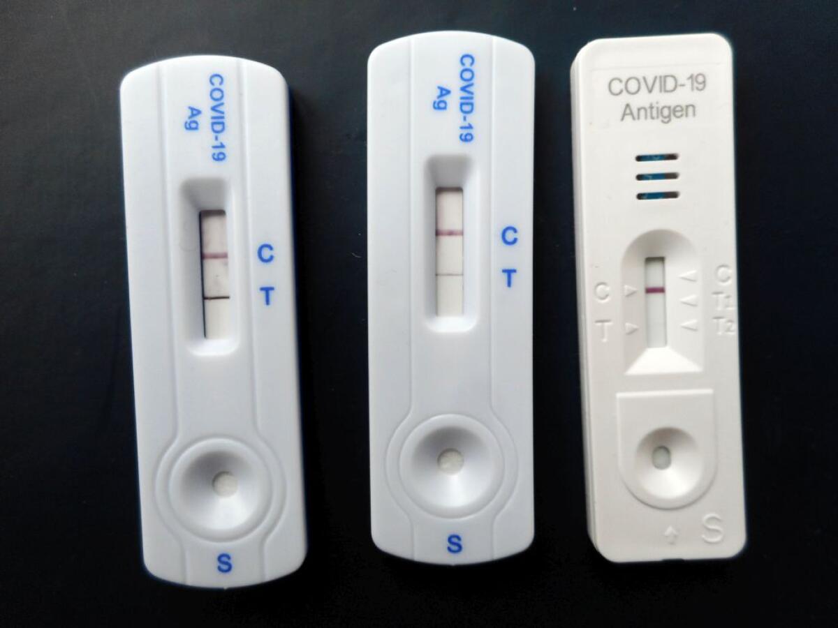 Covid, 29.433 nuovi positivi e 244 decessi nell’ultima settimana - 