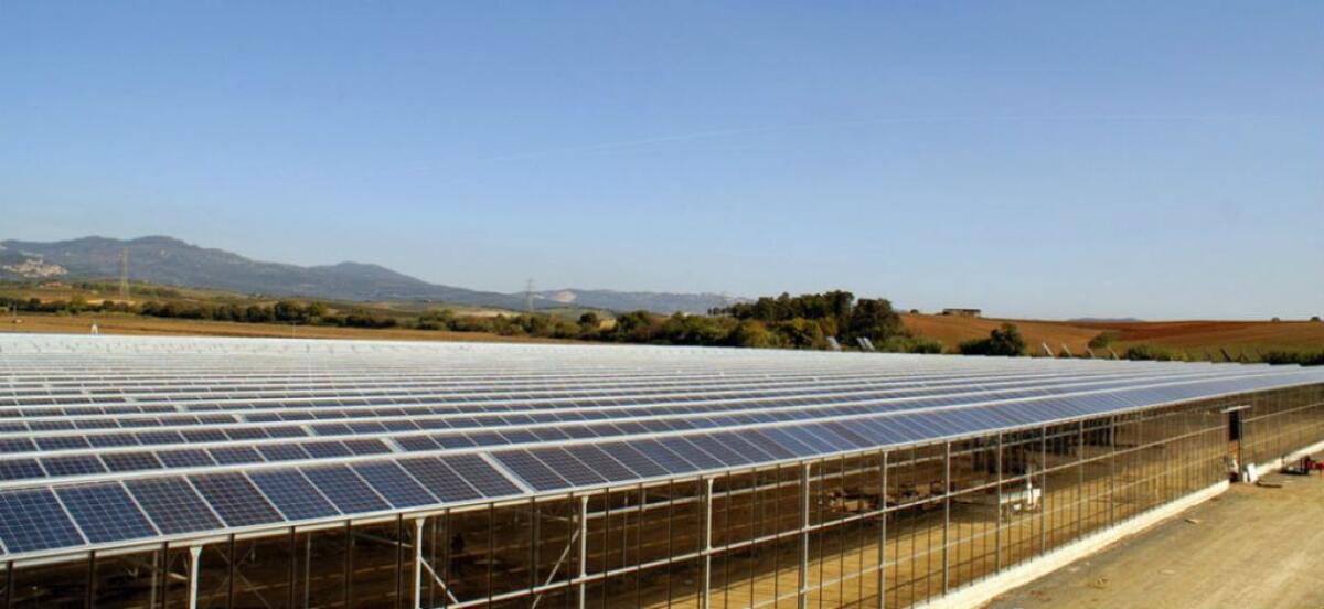 Progetto fotovoltaico in contrada Rabbito: Regione, "serve valutazione impatto ambientale" - 