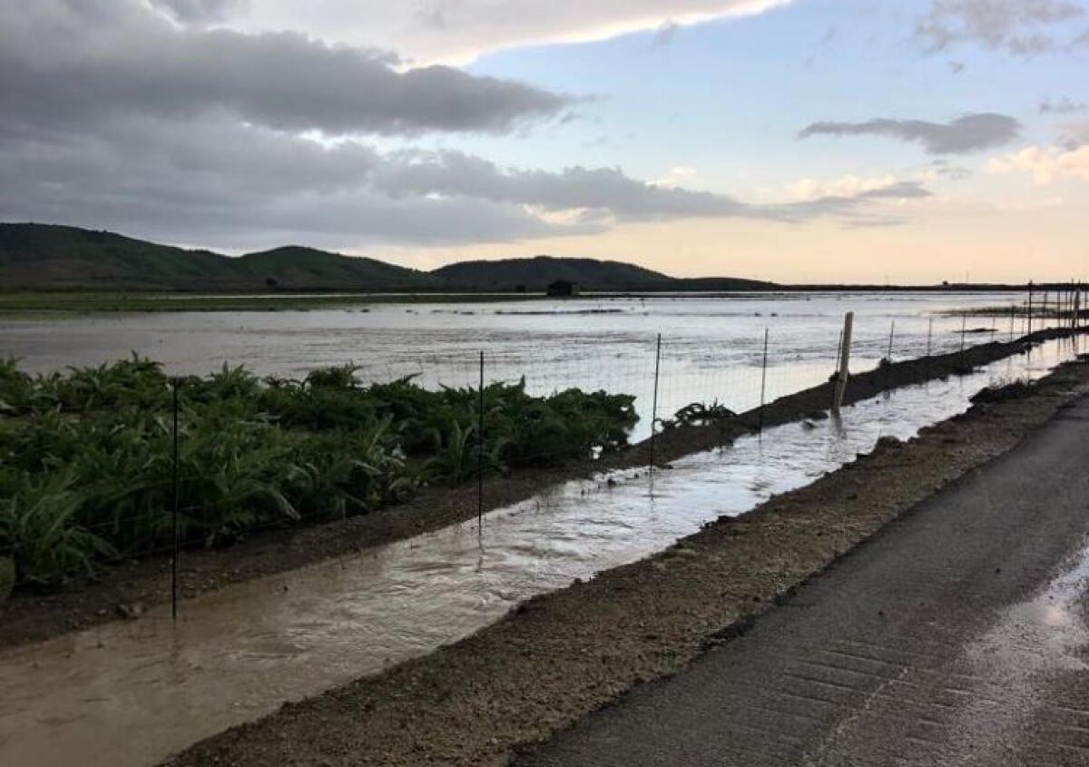 Danni all'agricoltura, Schifani ordina interventi nei corsi d'acqua dell'area locale - 