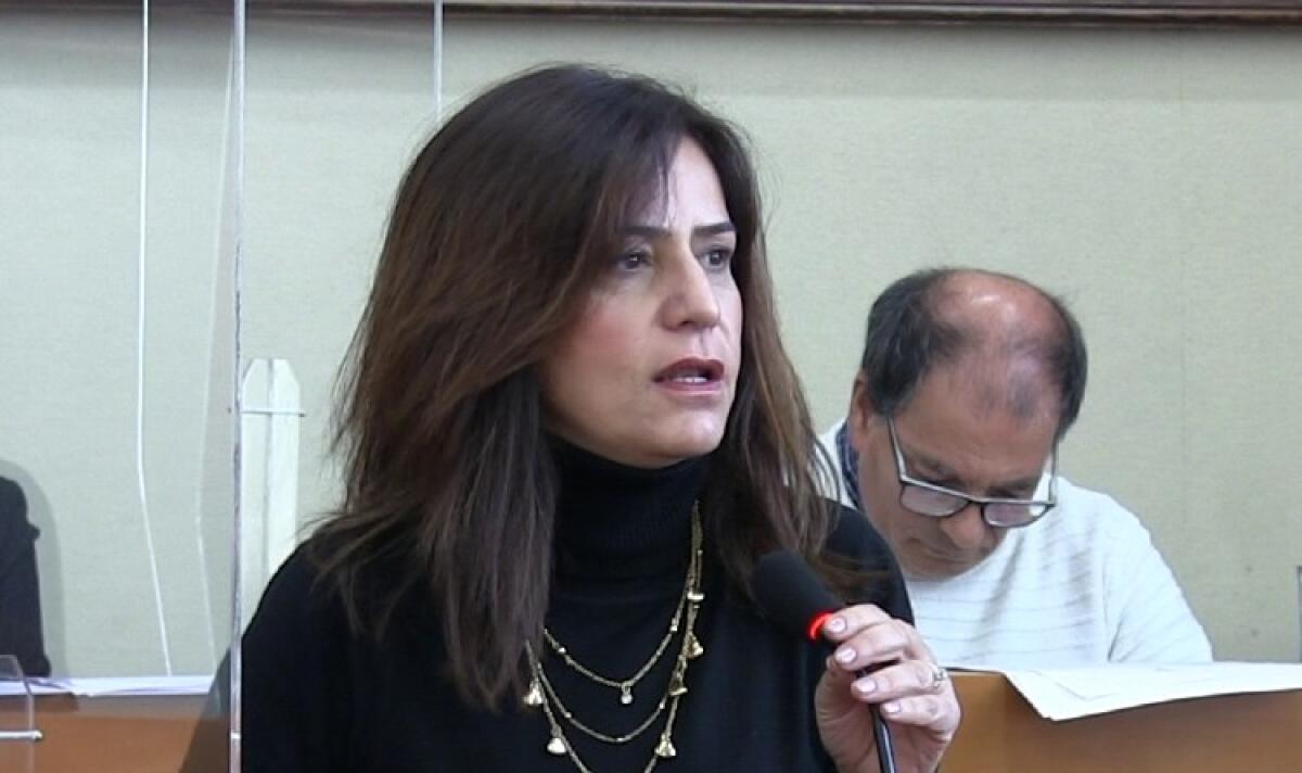 "FI in campagna elettorale", Caruso: "Fu Mancuso a chiederci di avere l'assessorato per Gnoffo" - L'assessore Francesca Caruso