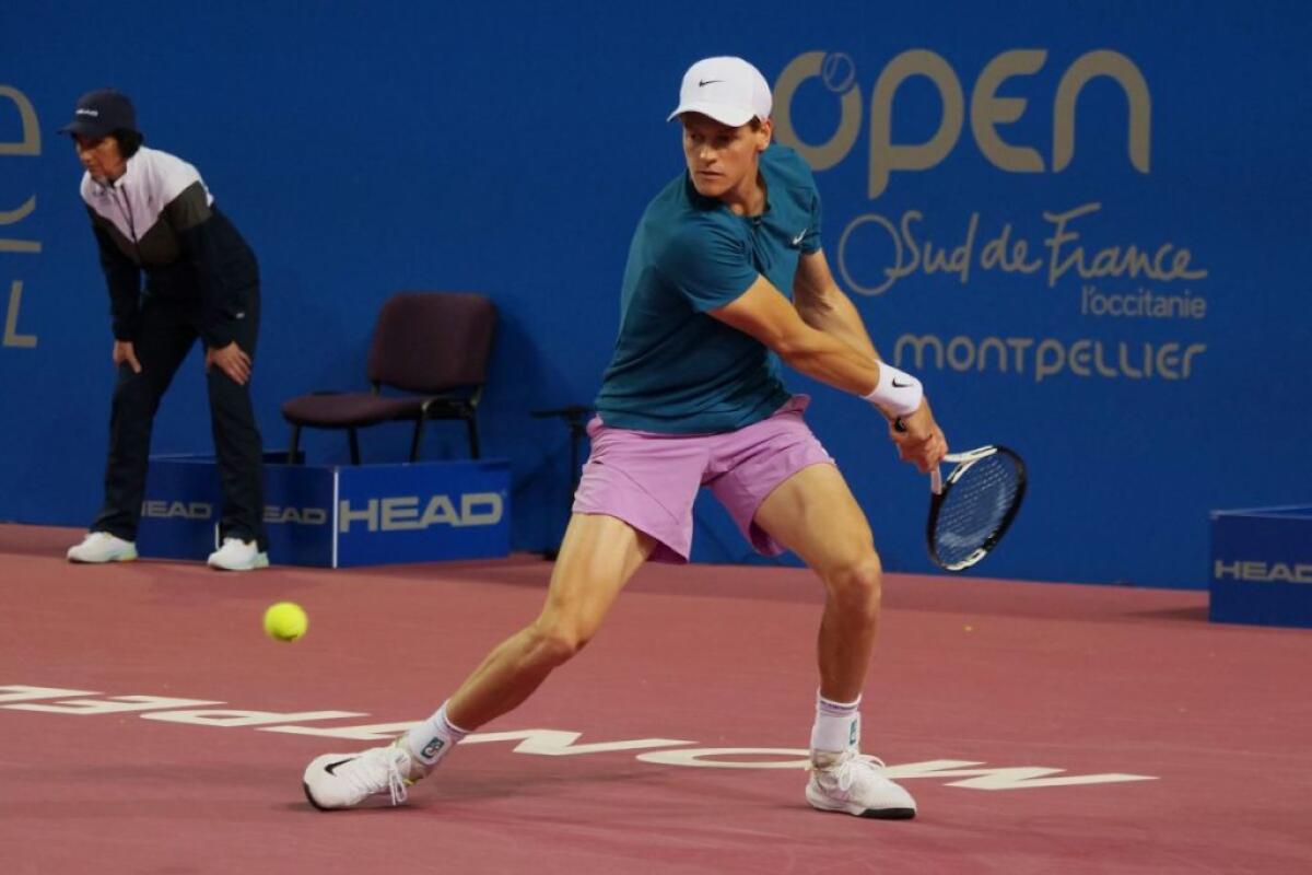 Sinner si arrende in finale a Rotterdam, titolo a Medvedev - 