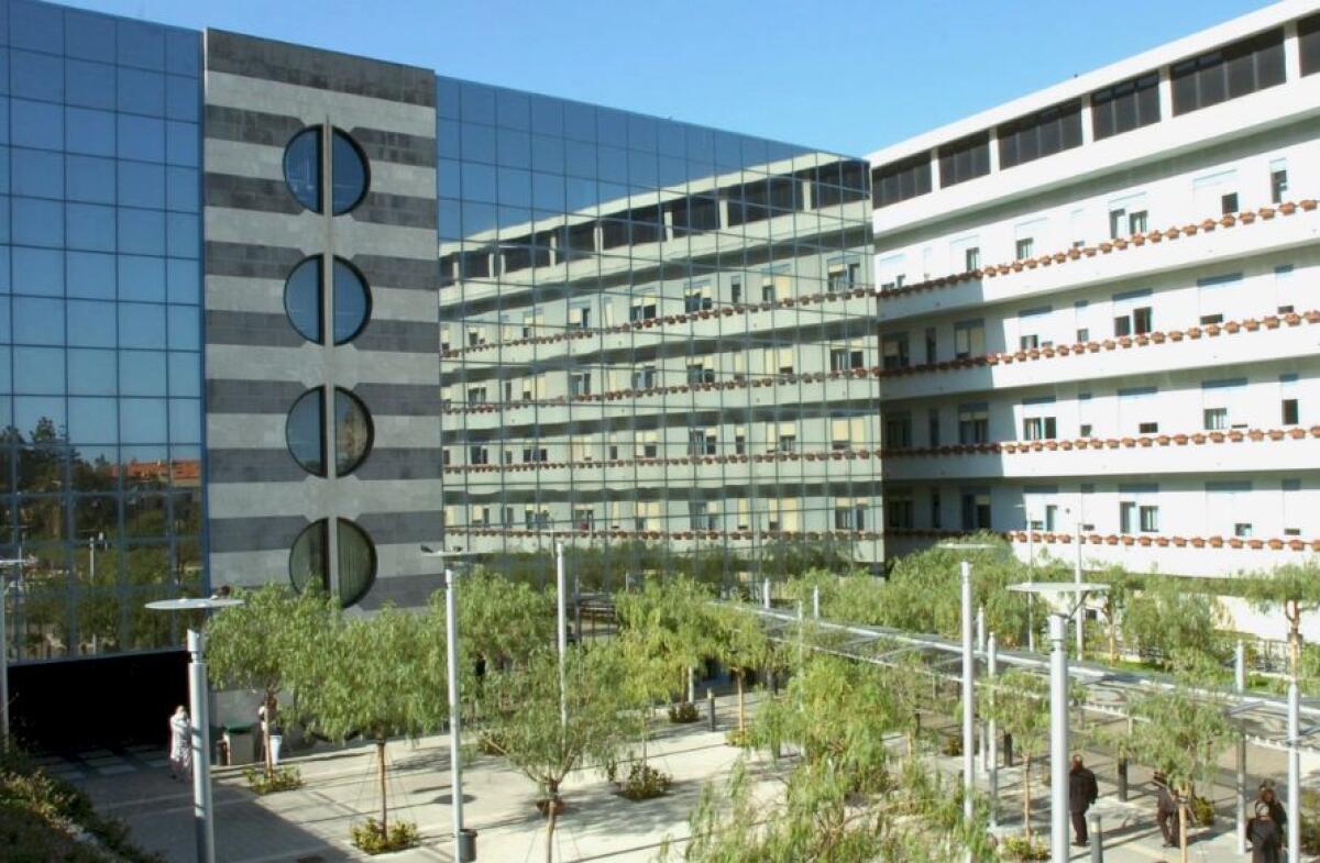 All’ospedale Giglio di Cefalù arriva il chirurgo Viola per il centro di Chirurgia robotica - 