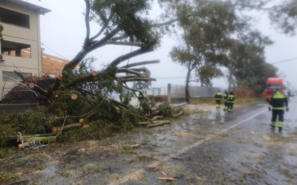 Esonda il fiume Dirillo, albero crolla per strada nei pressi del cantiere ex Smim - 