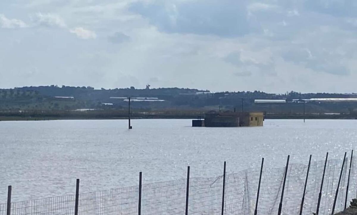 Danni al settore agricolo, "Un'Altra Gela": "Amministrazione vicina agli operatori locali" - 