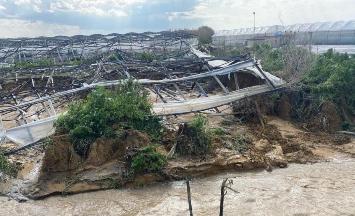 Comparto agricolo in ginocchio per maltempo, assessore in commissione: "Lavoro in sinergia" - Piogge e vento hanno causato danni enormi