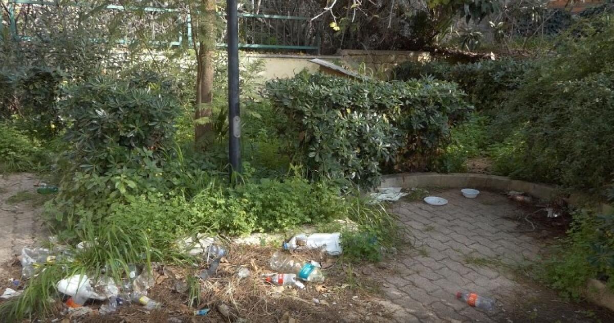 "Interi quartieri mai sottoposti a pulizia", FI: "Tavolo tecnico con settore ambiente e Ghelas" - Le condizioni del verde