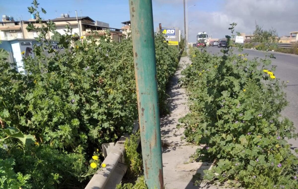 Cavalcavia di via Venezia invaso dalla vegetazione spontanea, quasi impossibile percorrerlo a piedi -