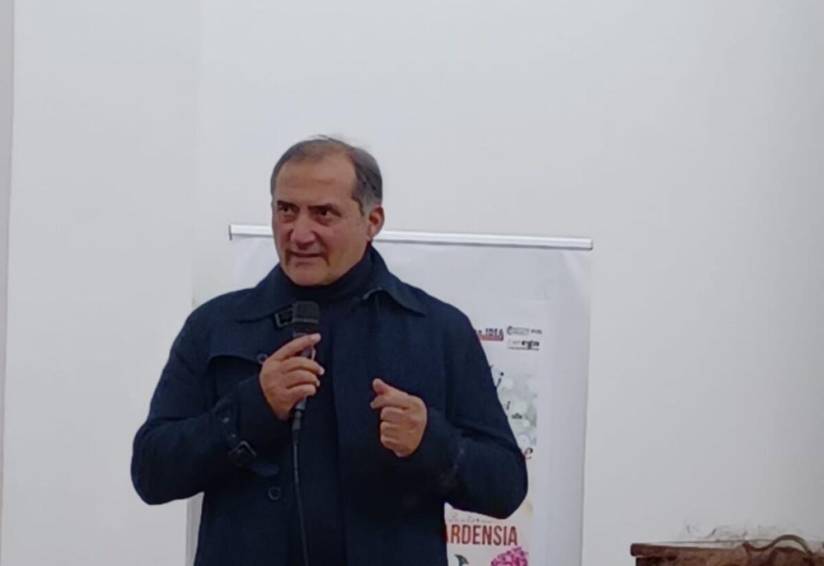 "Dc pronta alla sfiducia", Giannone: "Basta barzellette, Pd e progressisti con chi stanno?" - Il coordinatore Dc Natino Giannone