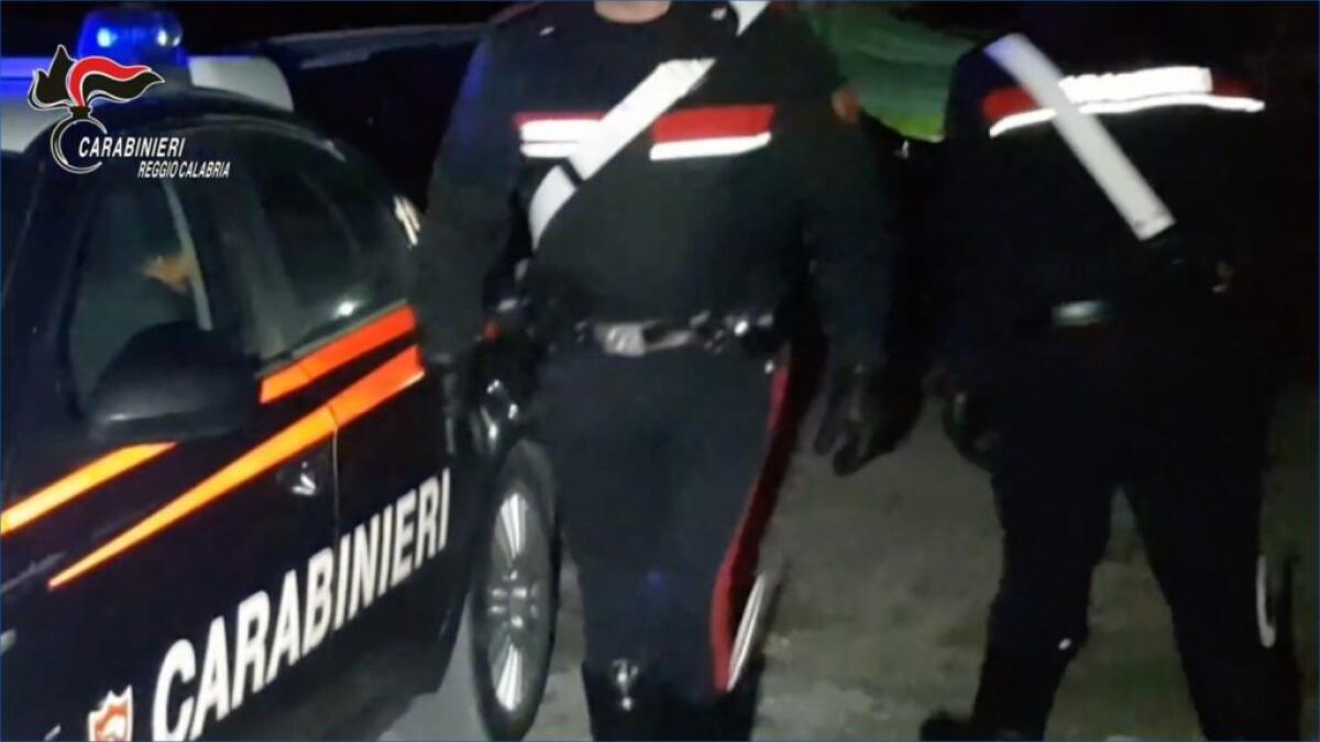 ‘Ndrangheta, operazione hybris. Arrestati 49 affiliati clan Piromalli - 