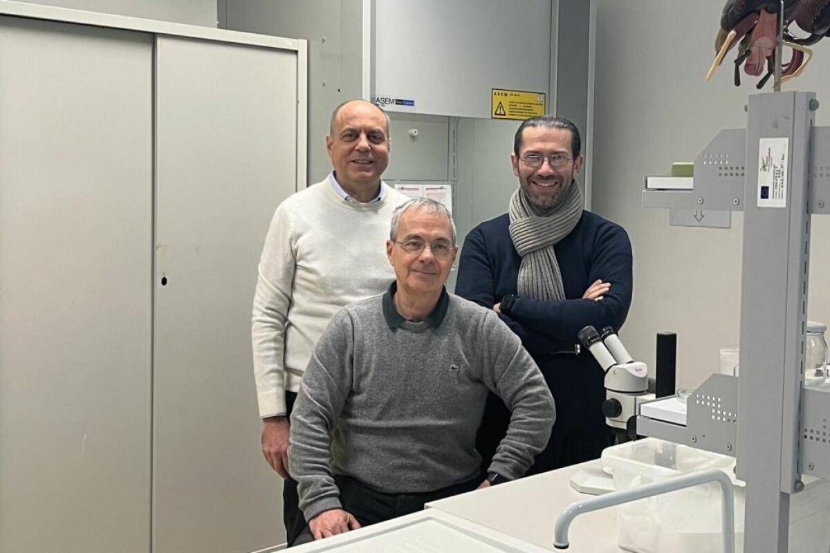 Università Palermo, studio sull’ecologia chimica pubblicato su Annual Review of Entomology - 