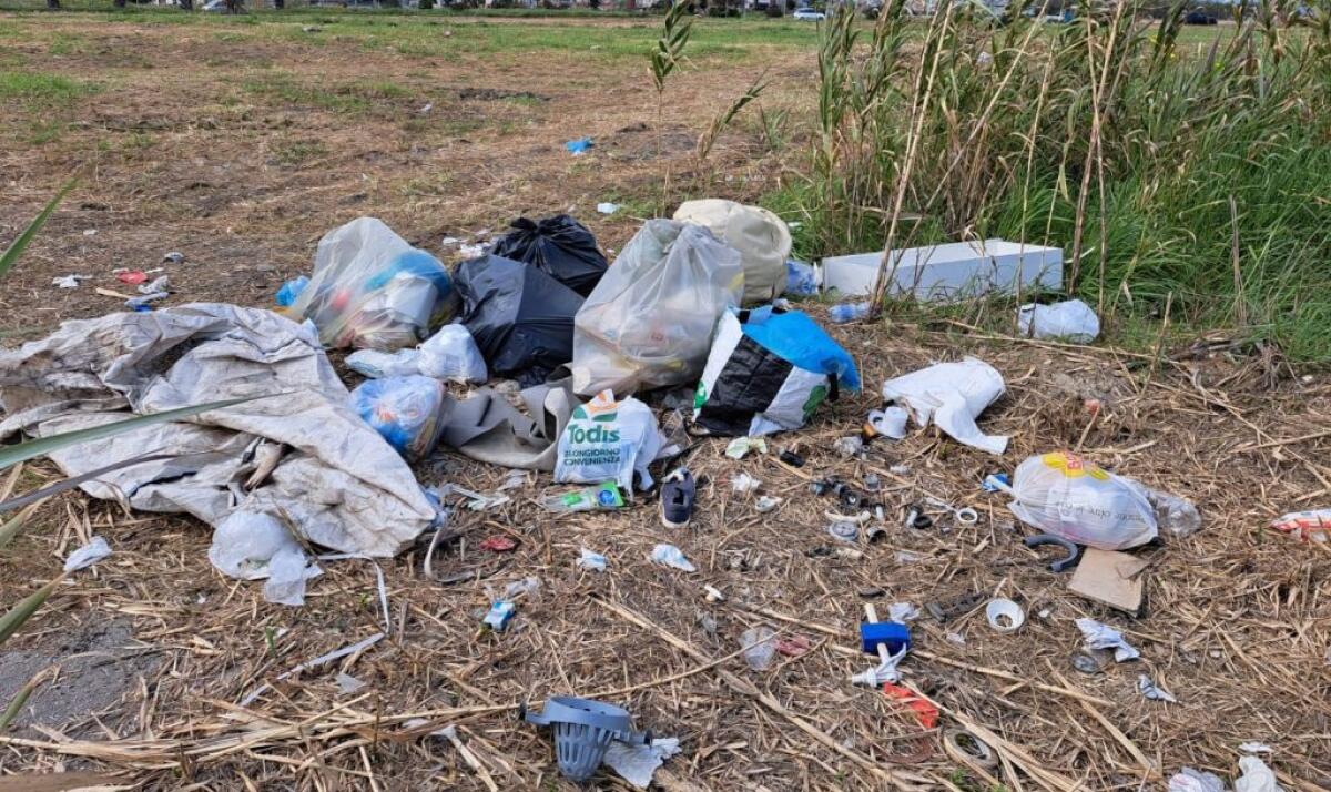 Prima il circo e poi i rifiuti, resti abbandonati nel terreno a ridosso del tribunale - I rifiuti lasciati tra le sterpaglie