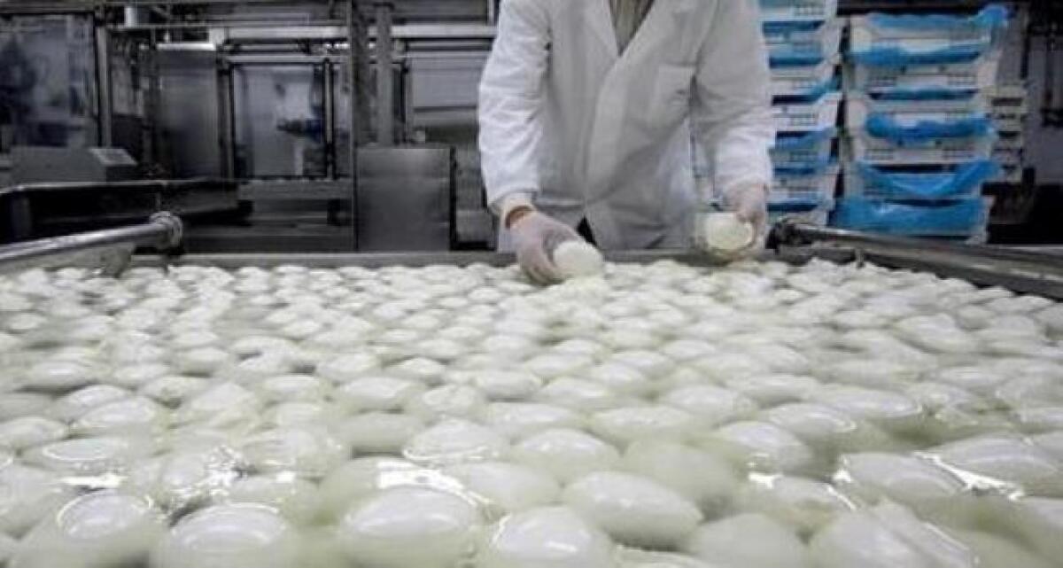 Sospetti su controlli ad aziende casearie, operatori Asp a giudizio: in aula carabiniere Nas - Immagine repertorio