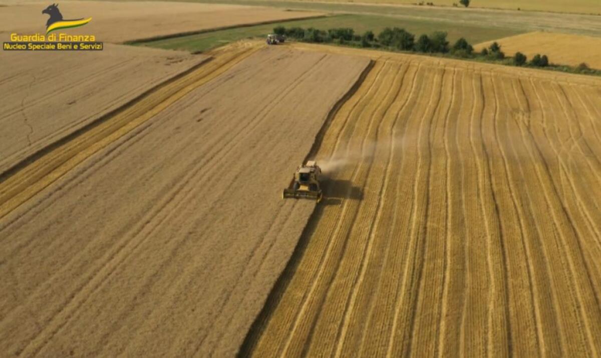Pirateria agroalimentare, sequestrate 382 tonnellate di cereali in Puglia e Sicilia - 