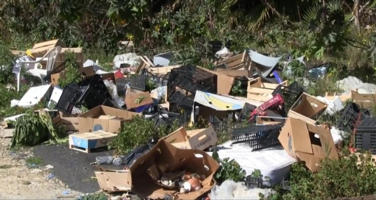 Un'area della bretella Borsellino trasformata in discarica abusiva, rifiuti a ridosso del lungomare - 