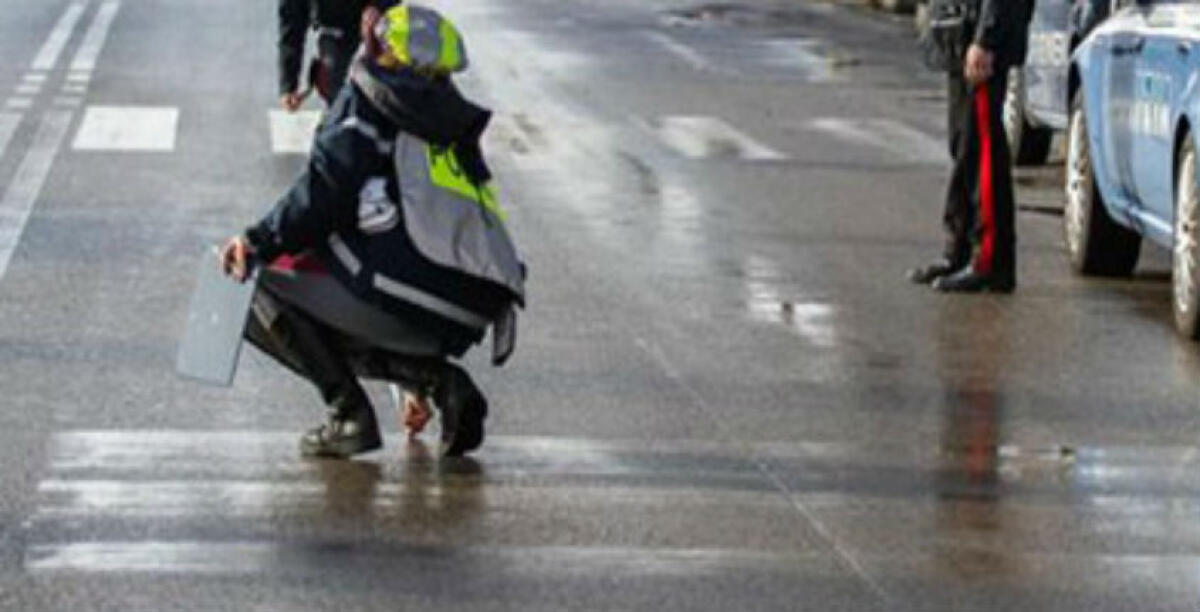 Centauro travolto da un'auto, riportò gravi conseguenze: sarà risarcito - 