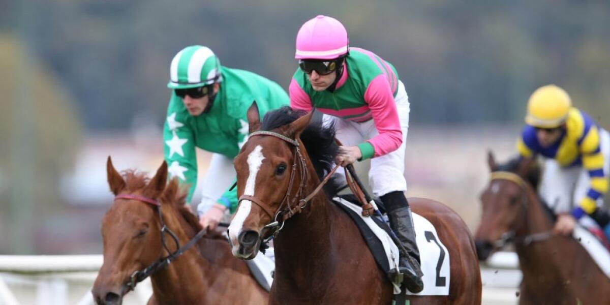 Strategie popolari per le scommesse ippiche - 