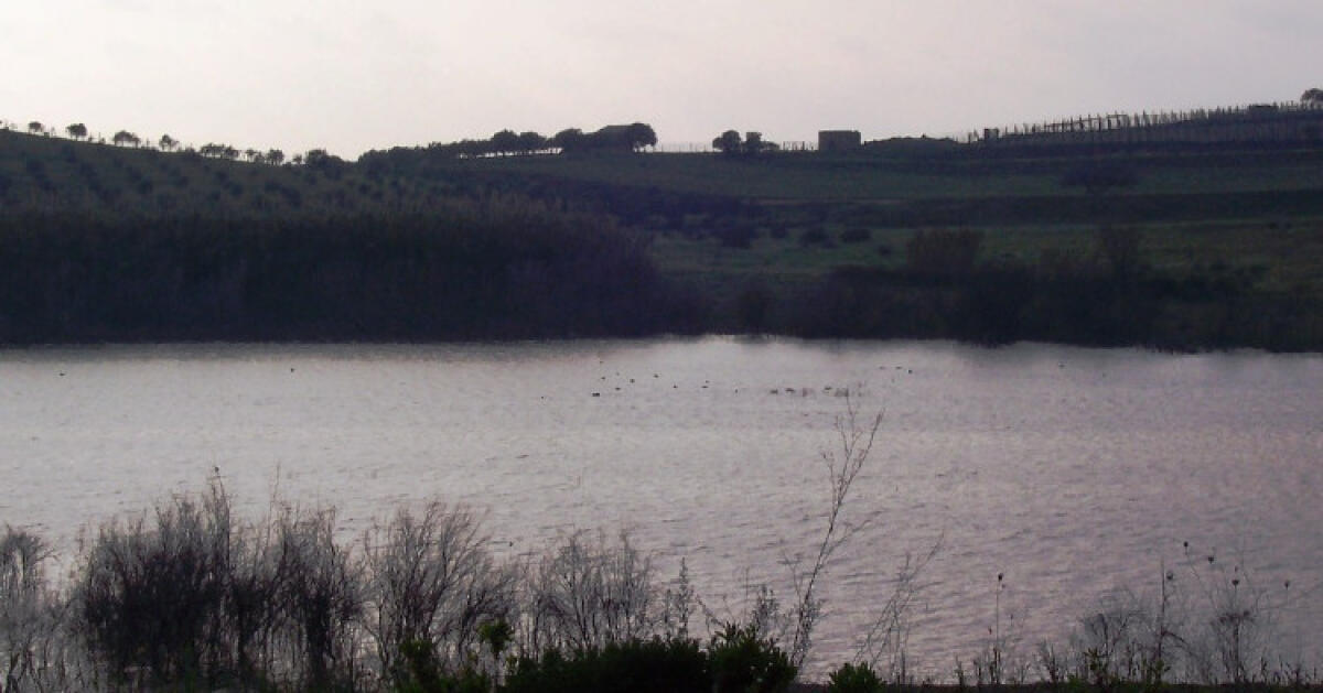 Biviere, "lago in sofferenza": Giudice, "con Ati si può valutare progetto acque depurazione" - Il lago Biviere