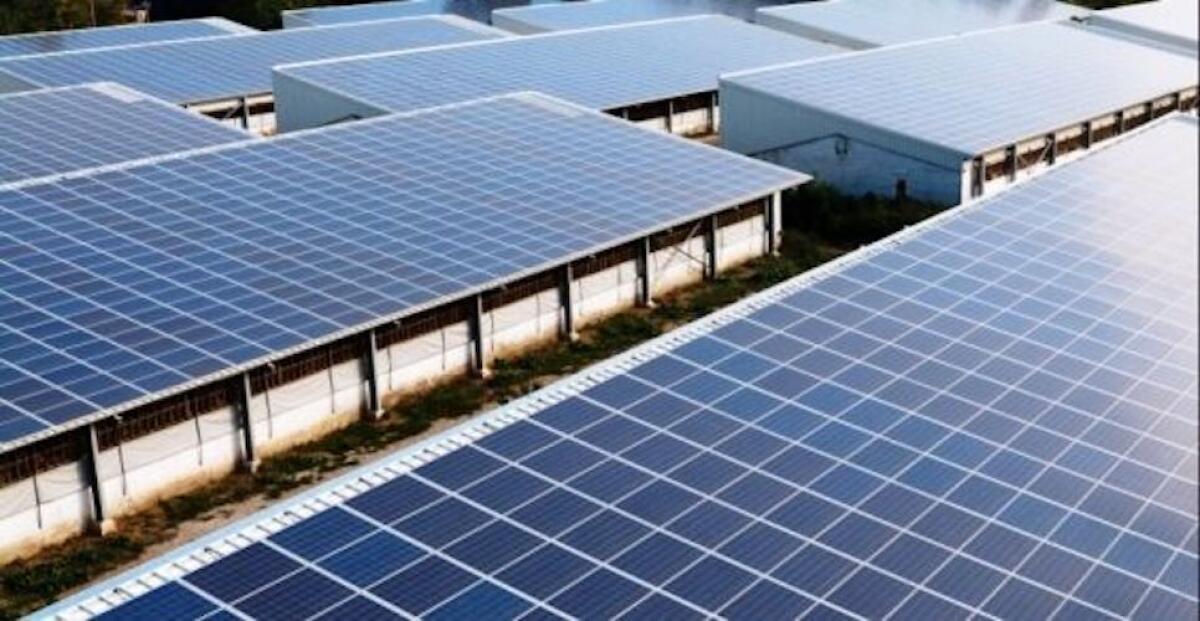 Maxi progetto agro-fotovoltaico in aree locali, ok Ministero: "Rispetta parametri ambientali" - 