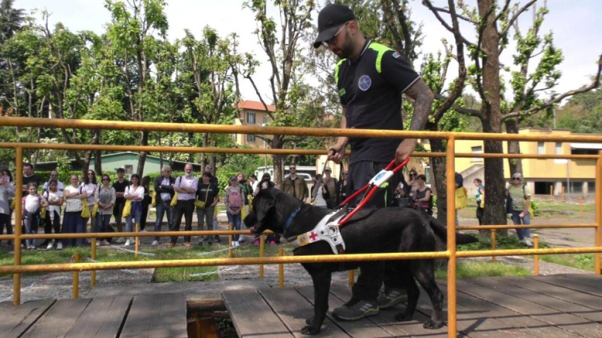 Apre le porte il centro di addestramento cani guida Lions di Limbiate - 