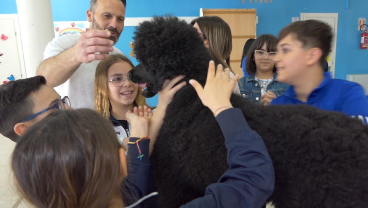 Educare al bene civico attraverso gli animali - 