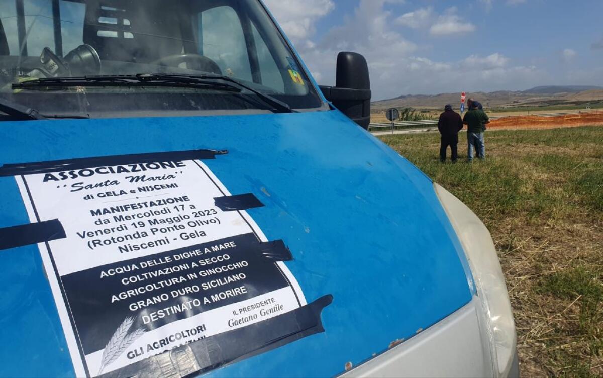 Crisi del grano e comparto locale a rischio default: parte la mobilitazione degli agricoltori - 