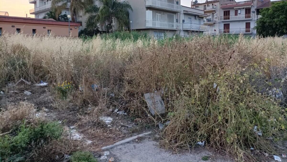 "Sterpaglie e insetti nel percorso della processione", Scicolone: "Meritiamo una città normale" - Sterpaglie lungo il percorso della processione