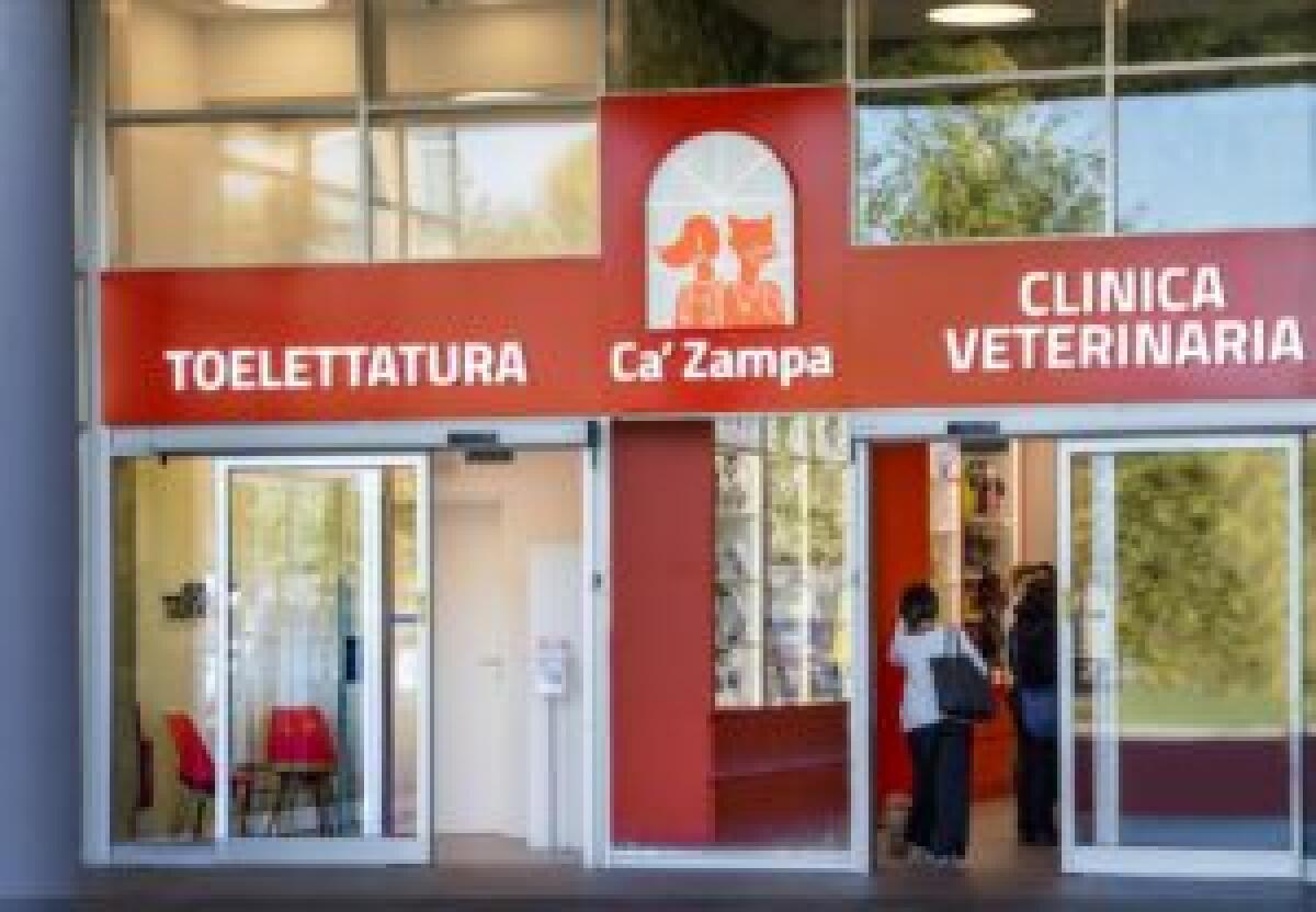 Animali domestici, cresce la domanda di servizi per il loro benessere -