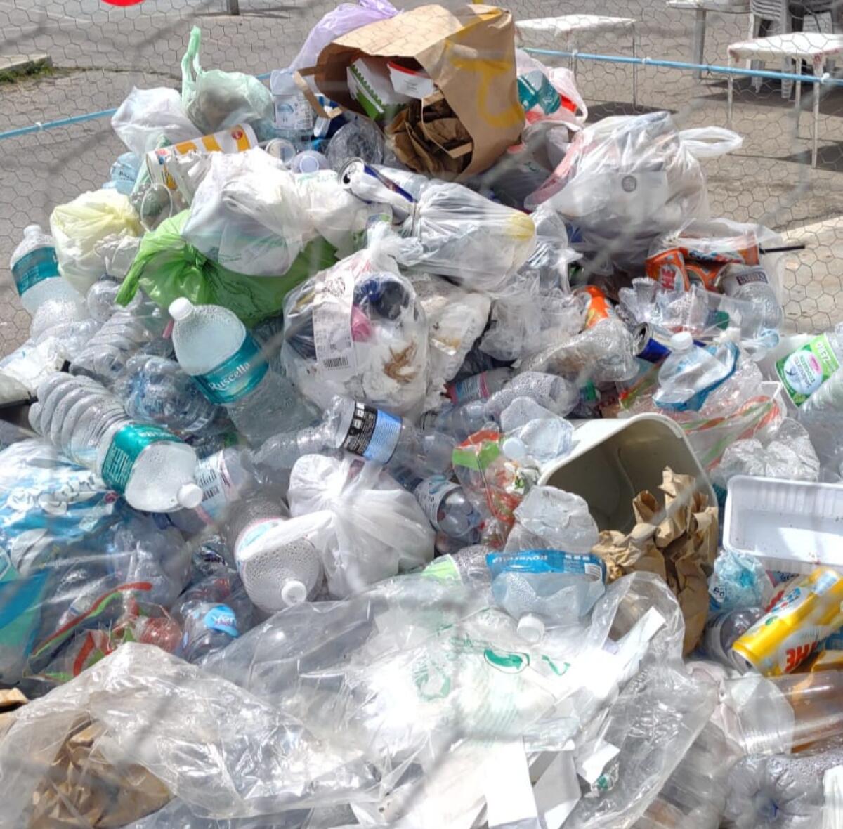 Rotonda est, rifiuti di ogni tipo anche nel pesce per la plastica: Liardi, "multe e ripuliremo" - 