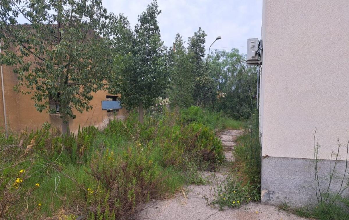 Postazione del 118 nell'incuria, erbacce e insetti nella struttura - 