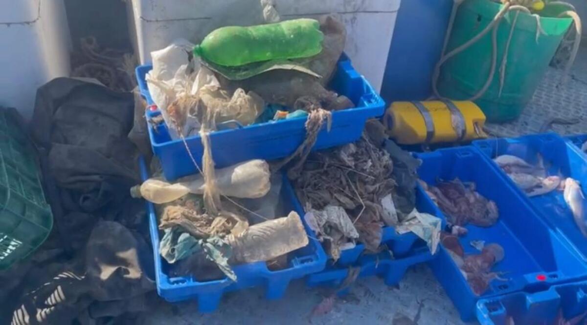 Più plastica che pesci, Marevivo “Non dobbiamo aspettare il 2050” - 