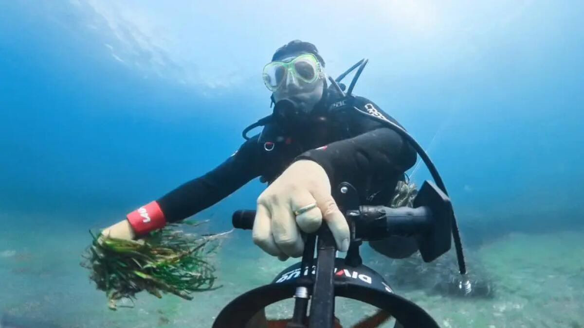 E.ON lancia il progetto Energy4blue per la salvaguardia del mare - 