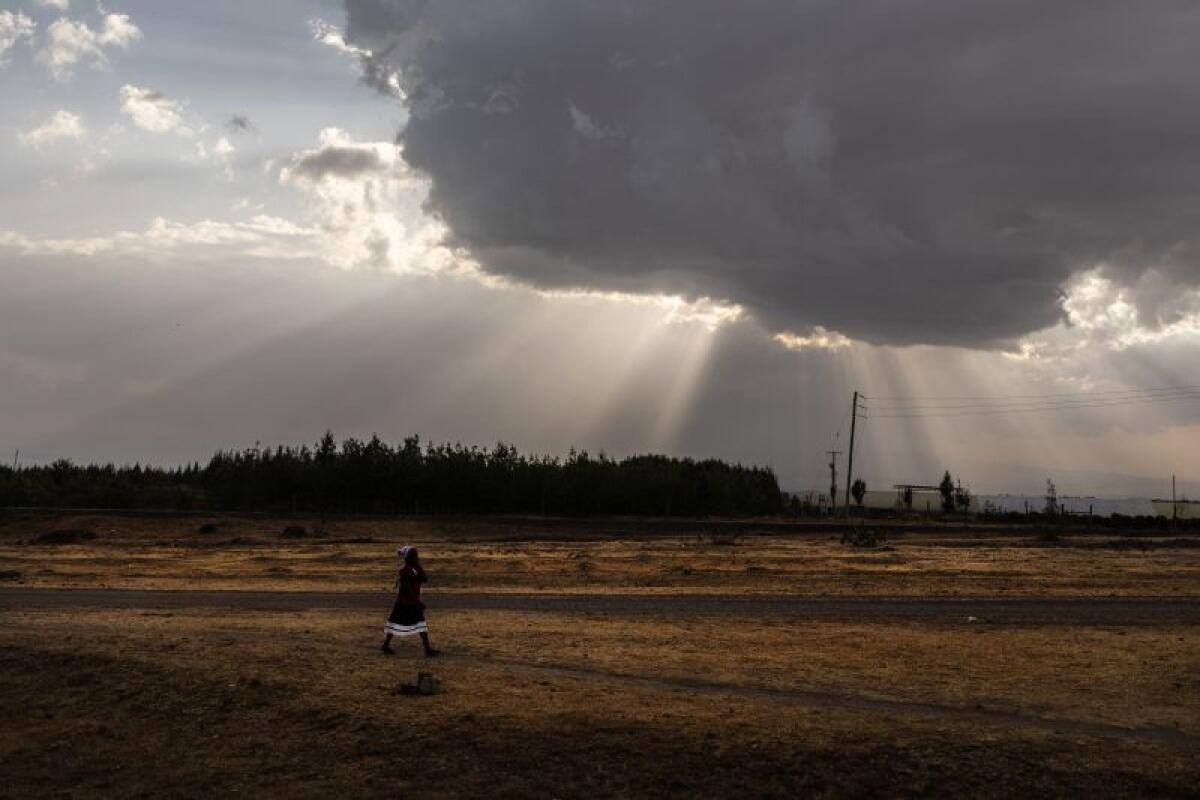 Italia-Africa, 44 progetti per l’innovazione - 