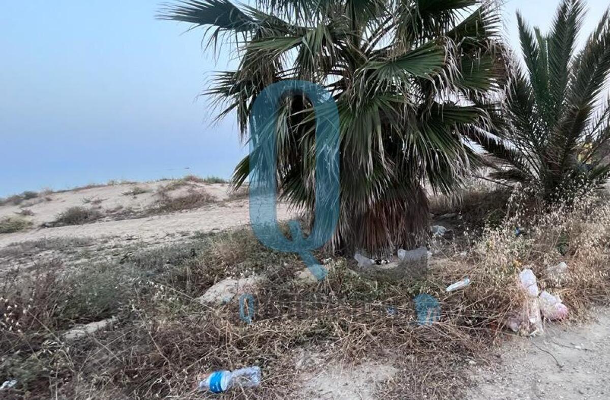 "Rifiuti e spiagge che non vengono pulite", a Manfria residenti reclamano interventi - 