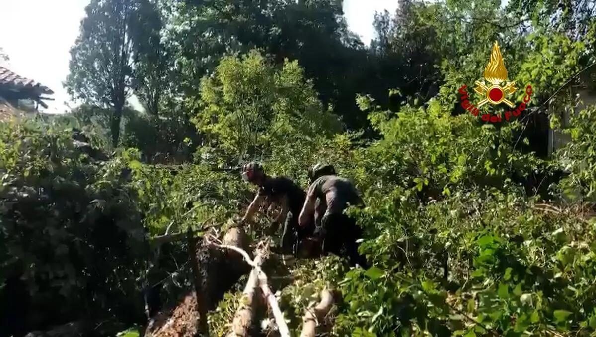 Emergenza maltempo in Veneto, Zaia “110 feriti” - 