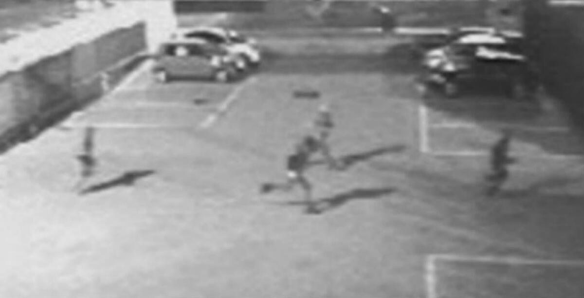 Ladri ancora in azione, colpo in un bar a Caposoprano - Immagini di repertorio