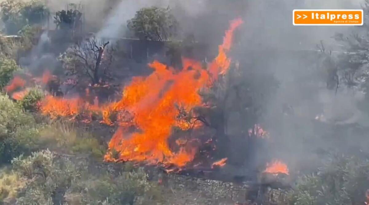 Gli incendi devastano Palermo e la Provincia - 