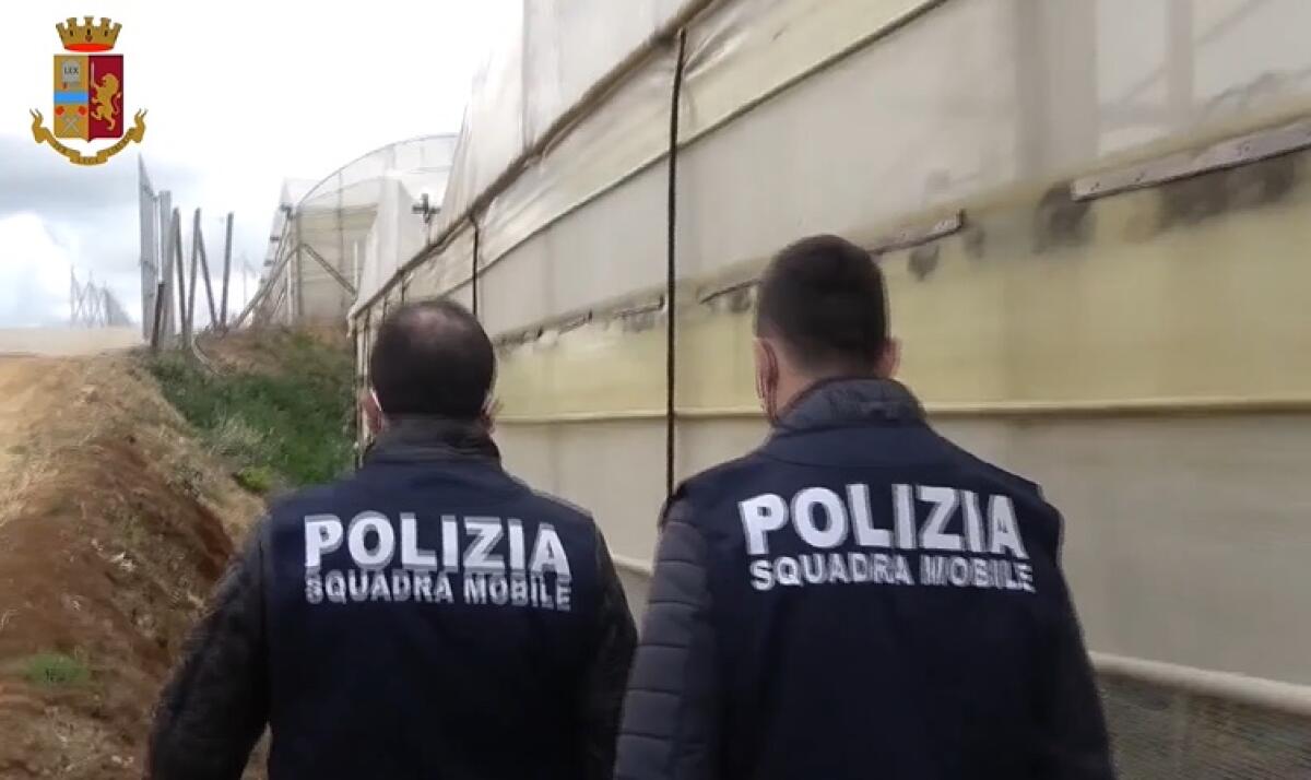 Sfruttavano pakistani nelle campagne, otto misure cautelari per imprenditori agricoli e caporali -