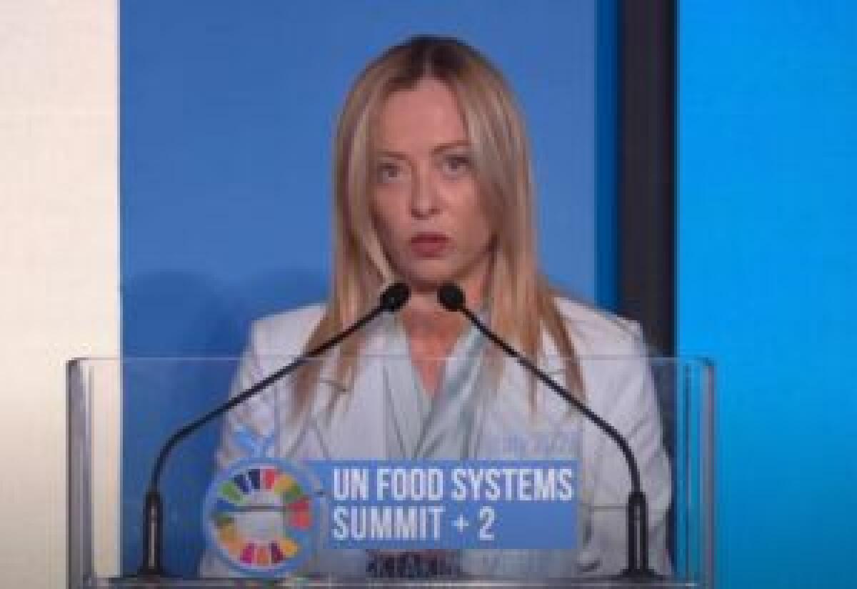 Meloni “Assicurare a tutti il diritto a non dover emigrare” - 