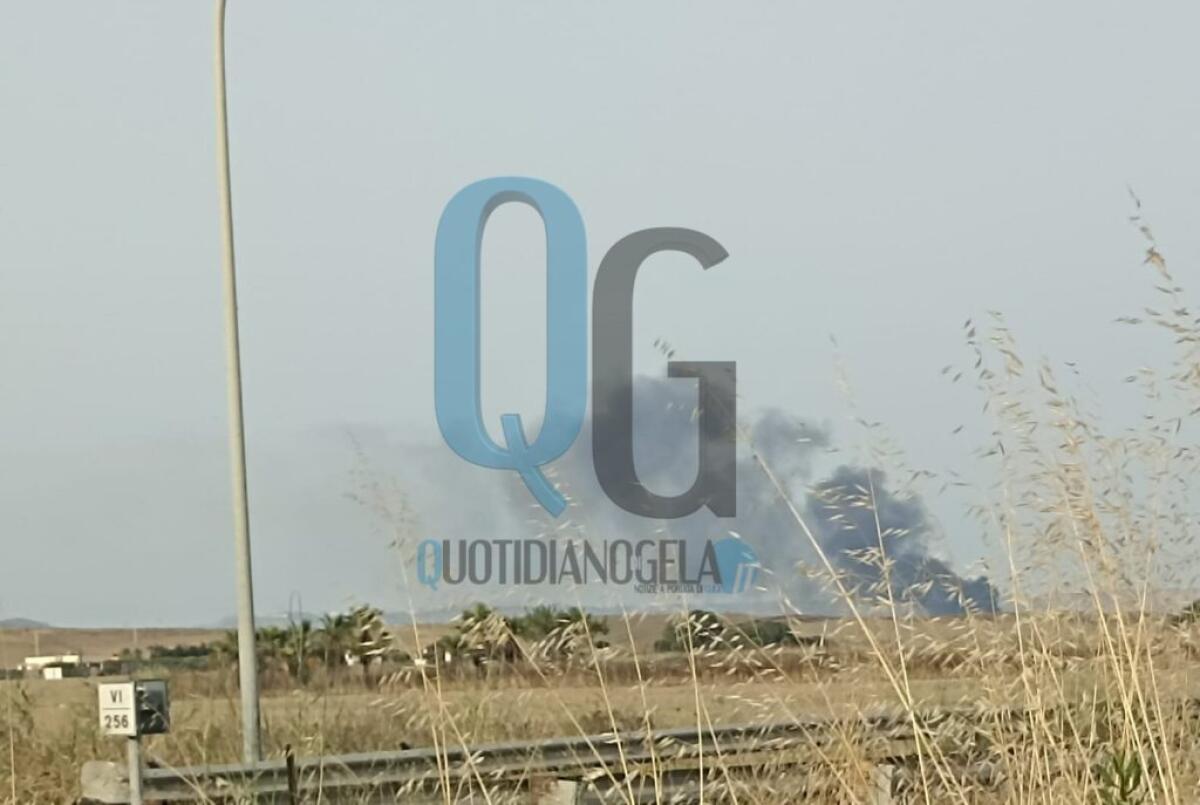 Temperature elevate e roghi, un vasto incendio in periferia - 