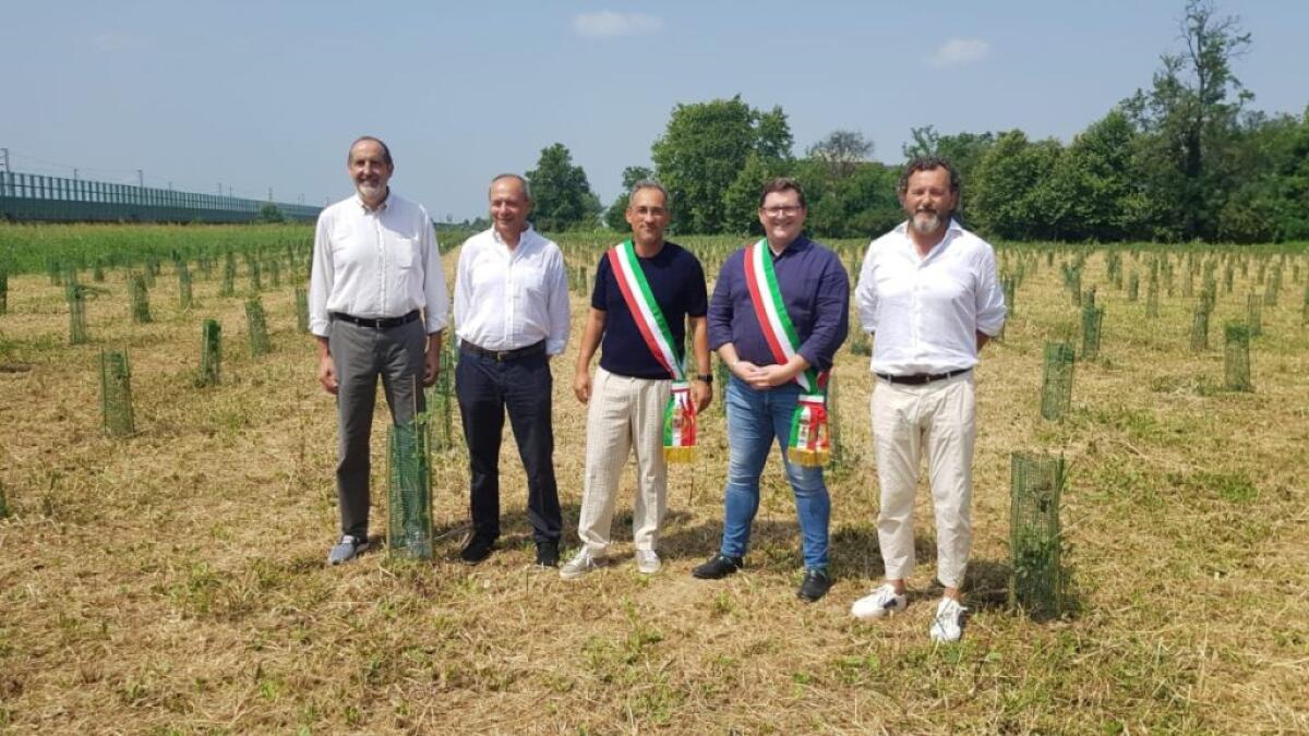 Arbolia, in Lombardia un nuovo bosco urbano da 3 mila piante - 