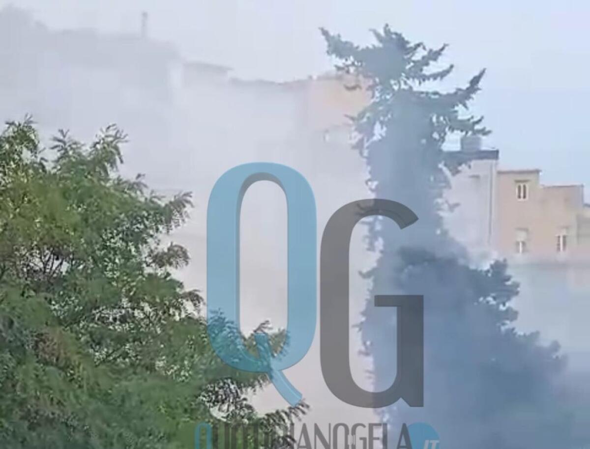 Incendio nell'area dell'orto Pasqualello, fiamme e fumo nella zona - 