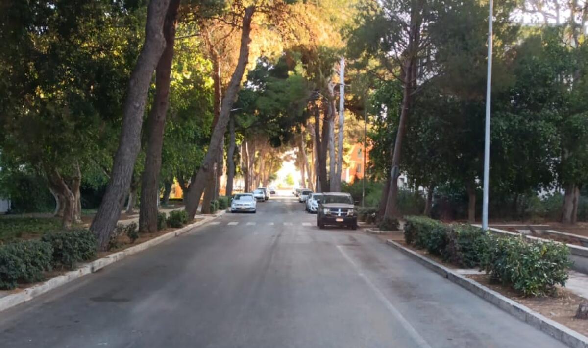 Macchitella, interventi pulizia anche nella zona della movida - 