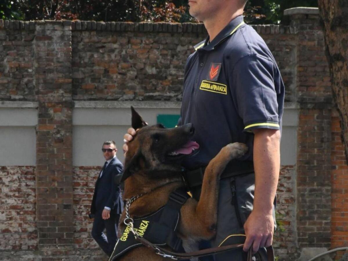 I finanzieri di Palermo donano 200 kg di mangime al canile di Bellolampo - 