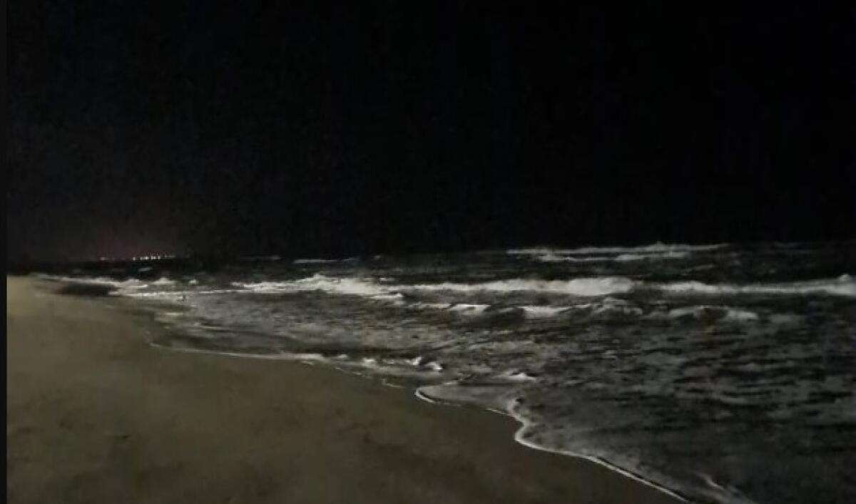 Giovane ha rischiato di annegare in mare nella notte, salvata da un bagnino - 