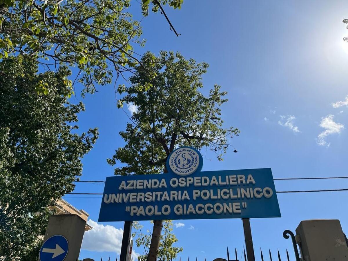 Appello per cercare i fratelli di un paziente vittima di naufragio a Lampedusa - 